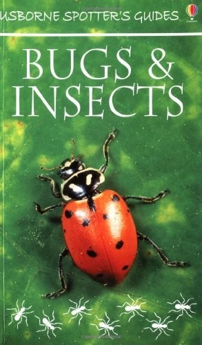 Bugs and insects - bugs, new