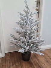 Festive Feeling - Potted