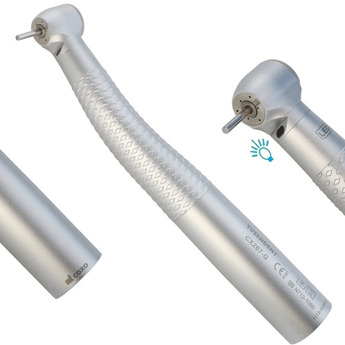 Coxo dental high - coxo,