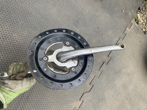 Raleigh burner chain ring - chain, +