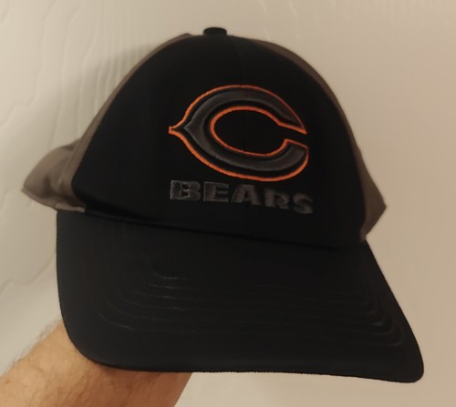 Chicago bears soldier field - chicago,