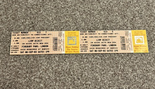 Limp bizkit concert ticket - bizkit,