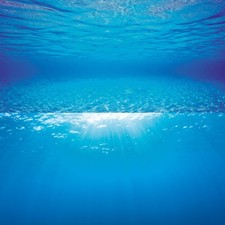 Juwel aquarium double poster - aquarium, 2