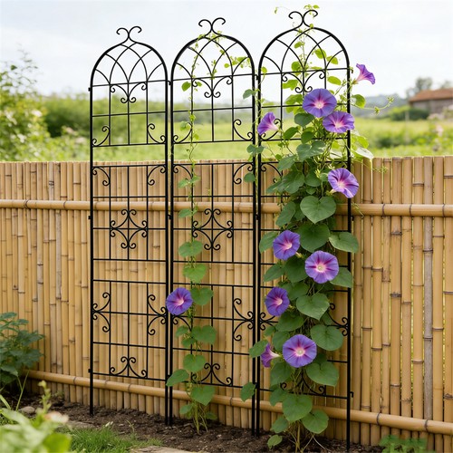Gothic garden trellises - garden,