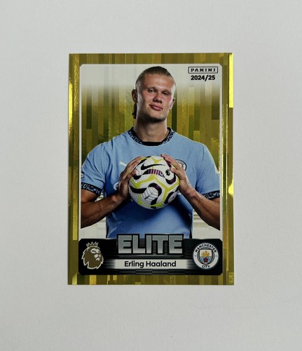Erling haaland panini - haaland,