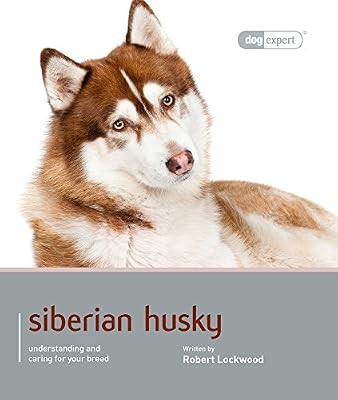 Siberian husky dog expert - dog,