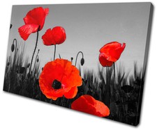 Floral Poppies Flowers SINGLE