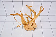 Premium Aquarium Natural Red