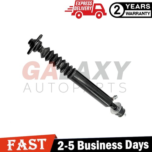 Rear left right shock - left,