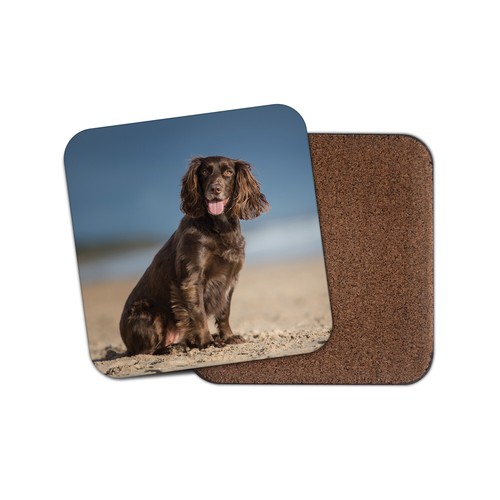 Cocker spaniel coaster puppy - cocker,
