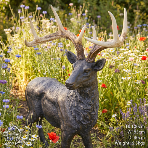 Large stag antlers - stag, &