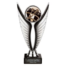 Darts 180 Award 195mm