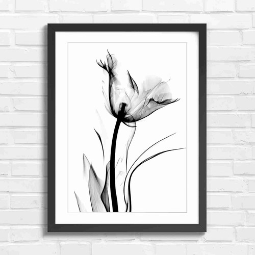 Minimalist black and white - black,
