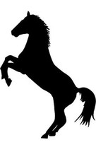 6 Inch Rearing Horse Vinyl car