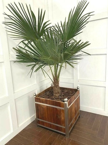 Timothy oulton large teak - timothy,