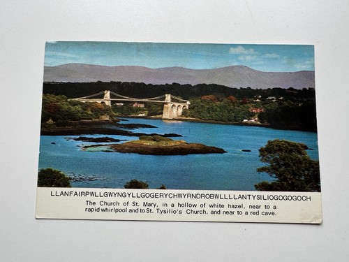 Vintage postcard - vintage,