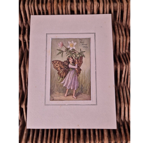 Cicely mary barker wind flower - cicely,