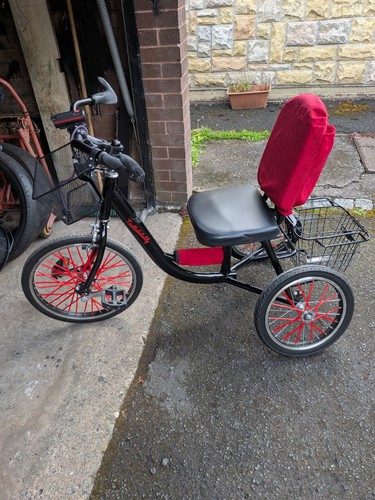 Mobility tricycle teenager - tricycle.,