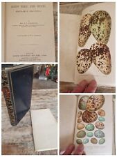  British Birds' Eggs and Nests