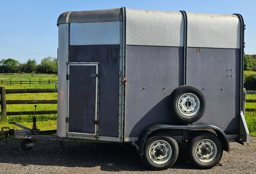 Ifor williams hb505 - williams, horse