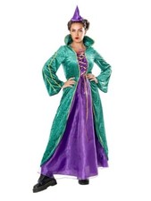 Ladies Enchanted Sister Witch Hocus Pocus Winifred Sanderson Fancy Dress Costume