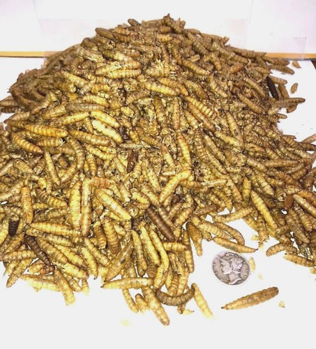 Premium sun dried black - premium,