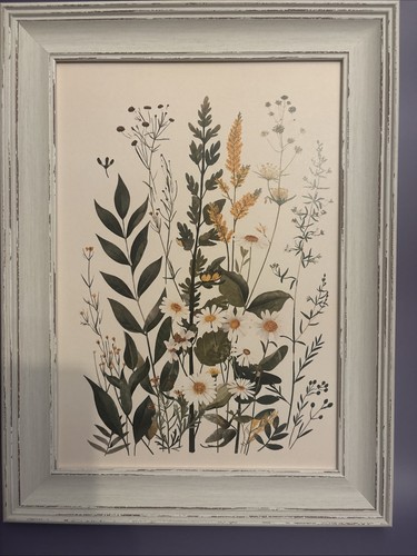 Botanical prints vintage - prints,