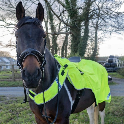 Cameo equine viz wrap - cameo,
