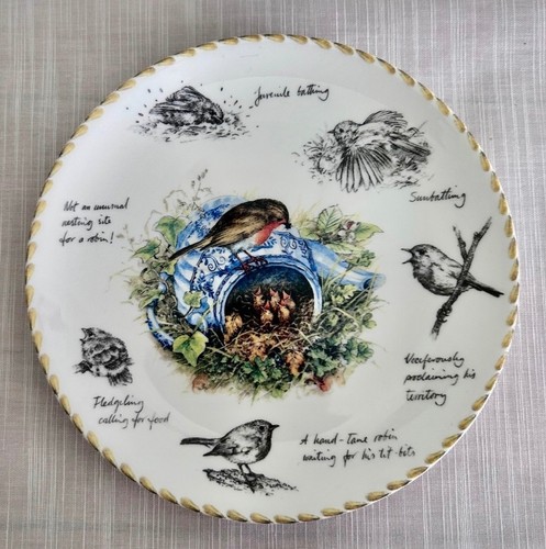 The robin collector - ‘the, collector’s
