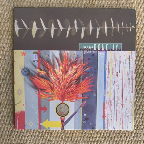 Tanya donelly sliding diving - tanya, &