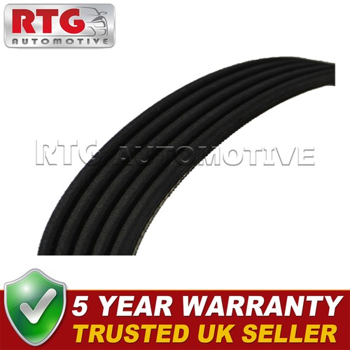 Ribbed drive belt fits - v,