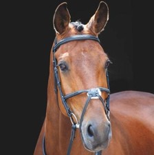 Shires Salisbury Brackley Bridle - Black