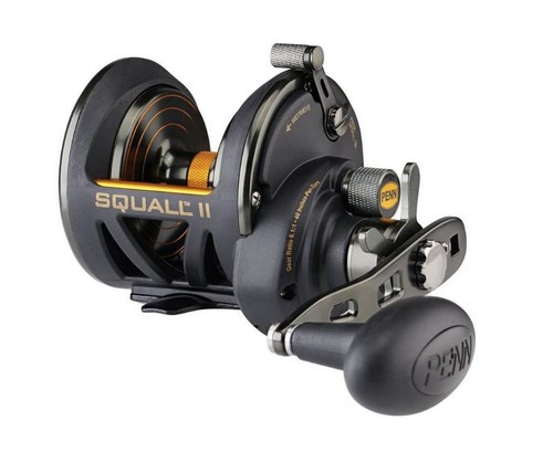 Penn squall 25n star drag - star,