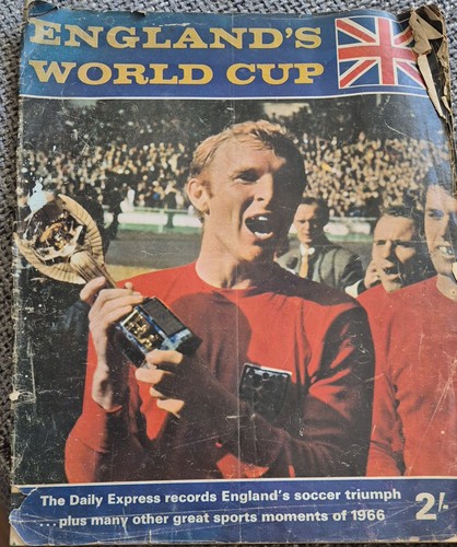 Englands world cup daily - cup,