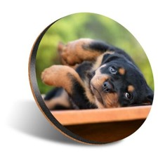 1 x Round 12cm Coaster -