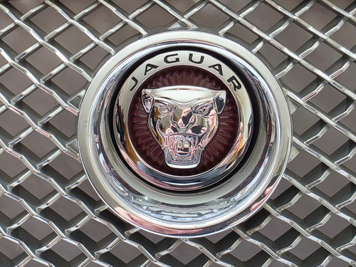 Genuine jaguar front - genuine, grille