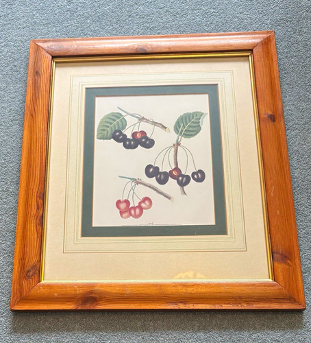 Laura ashley vintage - ashley, picture