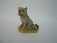 West Highland Terrier Dog