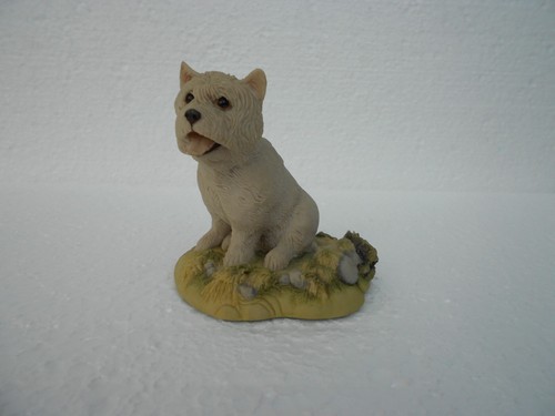 West highland terrier dog - terrier,