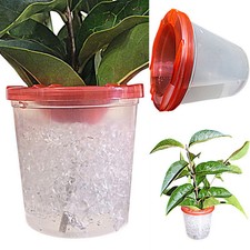Twig Pot Pair + FREE ATOMISER Ideal For Stick Insect Enclosures