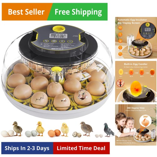 Incubator for hatching eggs - incubator,