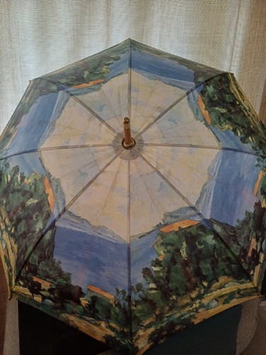 Salamander umbrella vintage - umbrella,