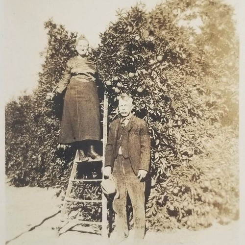 Vintage photo woman standing - woman,