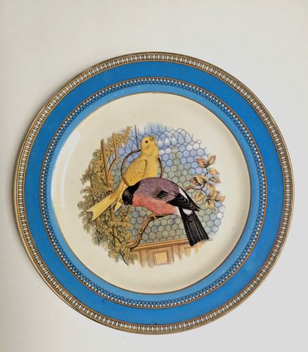 Vintage english inspired birds - vintage,