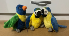 Bundle of 3x Ravensden Parrots