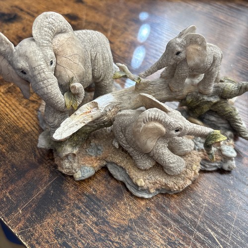 Tuskers brunch time - tuskers, by