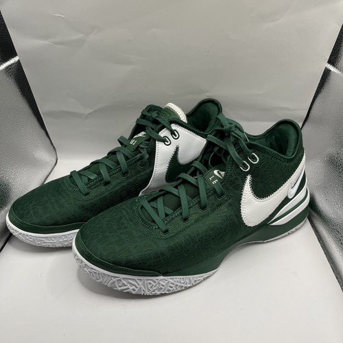 Nike lebron nxxt gen promo - gen,