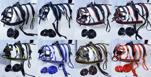 Horse nylon webbing - horse,