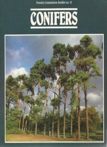 Conifers forestry commission - conifers,