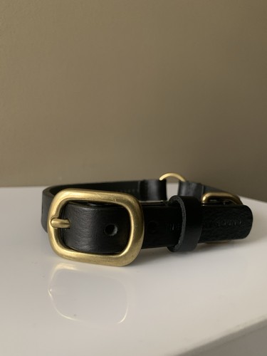 Luxury designer leather - designer, dog